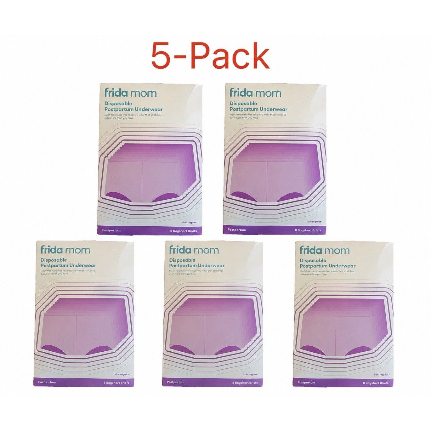 5Pack 8Ct Frida Mom Disposable Postpartum Underwear Size Regular 2841 In Brie